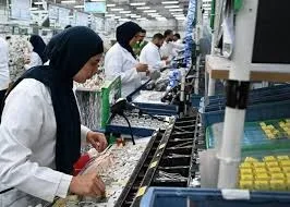 رئيس الوزراء يفتتح مصنع سوميتومو  لإنتاج الضفائر الكهربائية للسيارات
