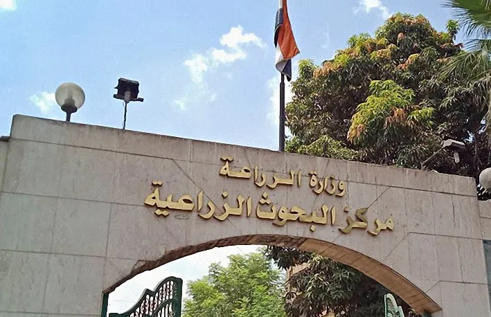 موظفو البنك الزراعي المفصولون ينظمون وقفة احتجاجية أمام  معهد البحوث الزراعية