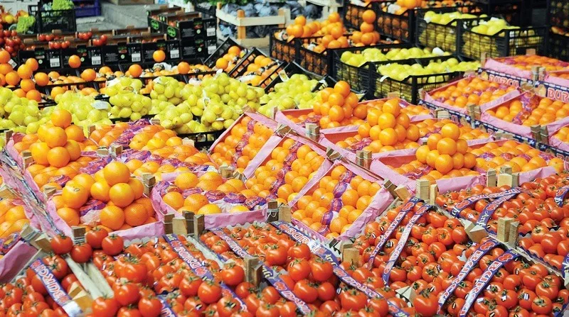 ارتفاع صادرات مصر الزراعية إلى 5.2 مليون طن في النصف الأول من 2025