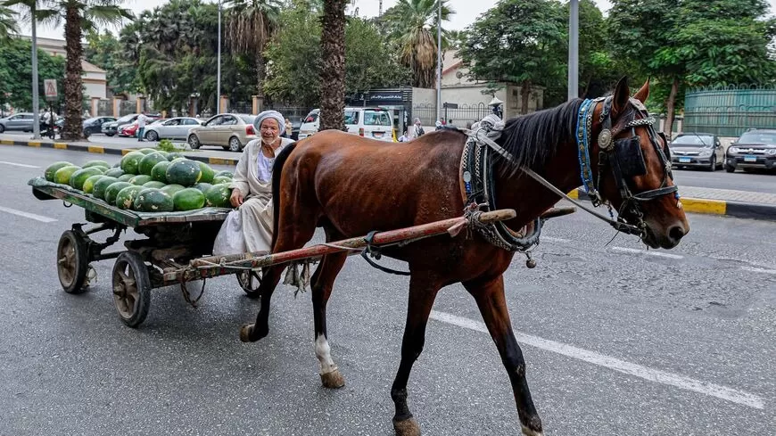 المونيتور: الاقتصاد المصري يترنح بعد خفض تصنيف وكالة موديز