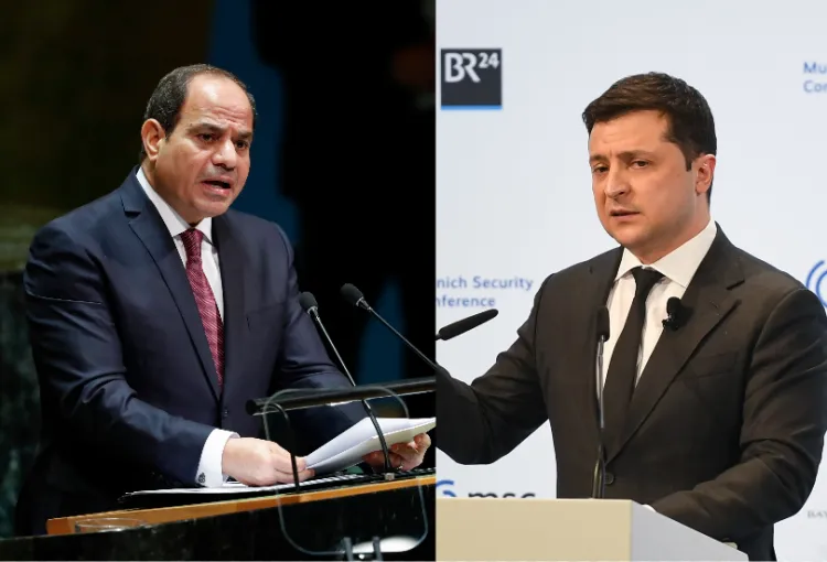 الرئيسان المصري والأوكراني يبحثان إنشاء مركز لوجستي للغذاء