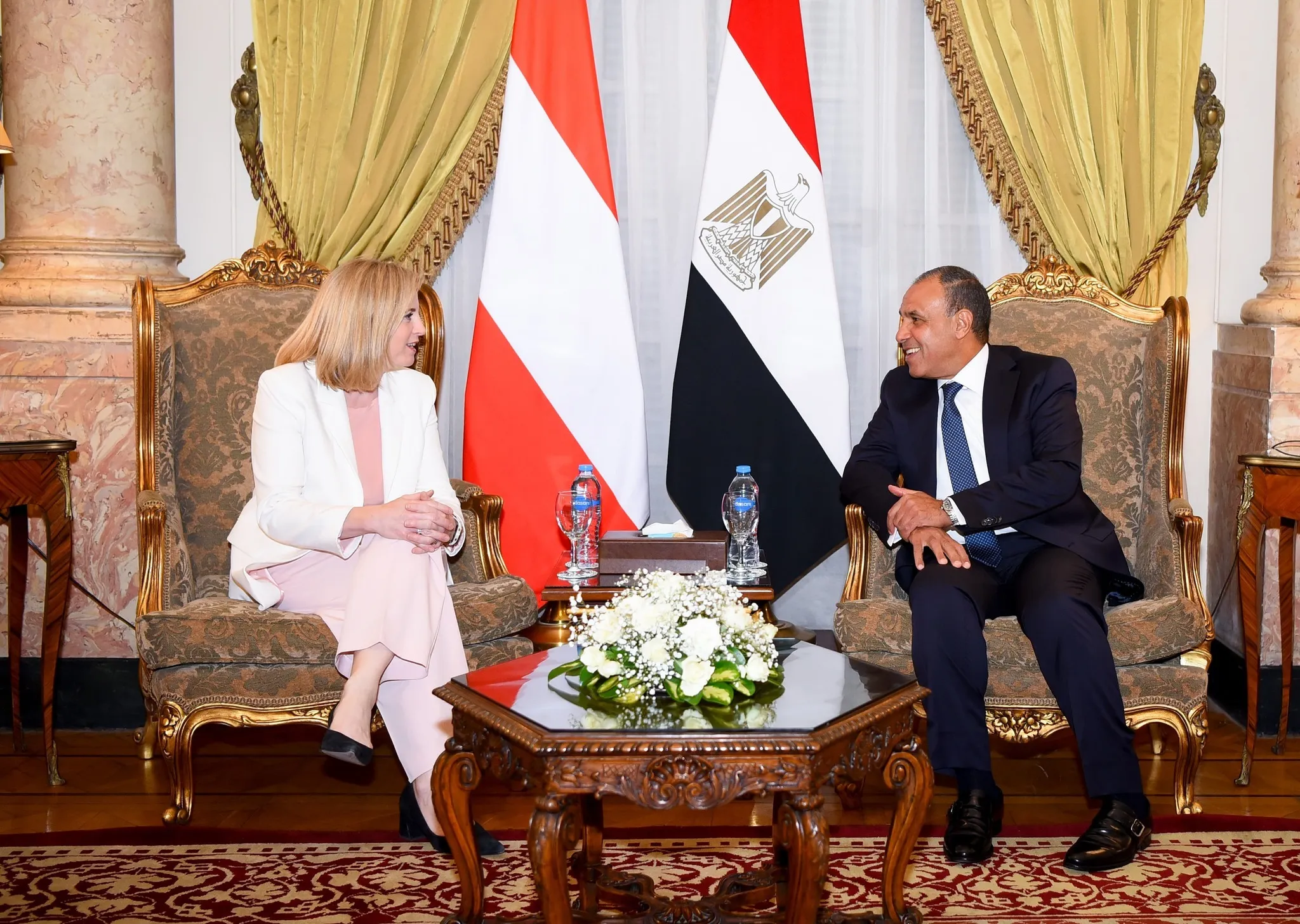 وزير الخارجية يجرى مشاورات سياسية مع نظيرته النمساوية