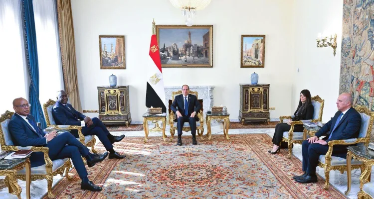 السيسي يستقبل الرئيس التنفيذي لمؤسسة التمويل الدولية