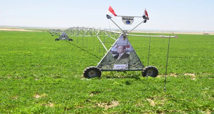 جهاز مستقبل مصر للتنمية المستدامة يبدأ أعمال حصر أراضي بحيرة البرلس استعدادًا لإدارتها