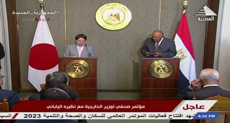 ذا ناشيونال: وزيرا الخارجية الياباني والمصري يجتمعان في القاهرة