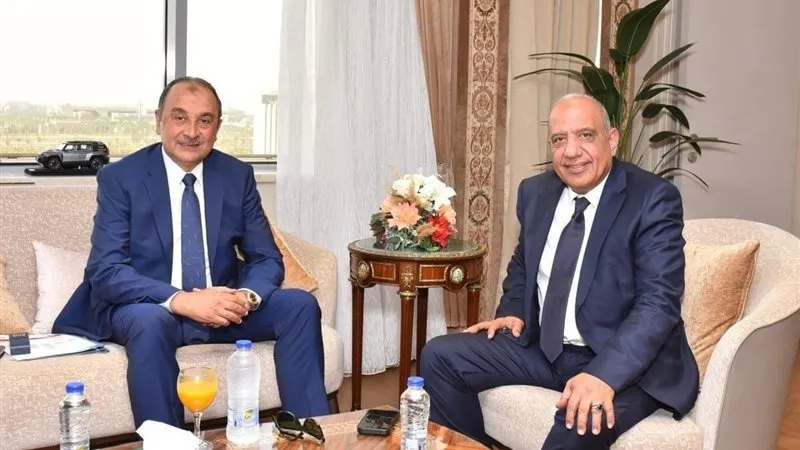 لقاء وزير الكهرباء وقطاع الأعمال