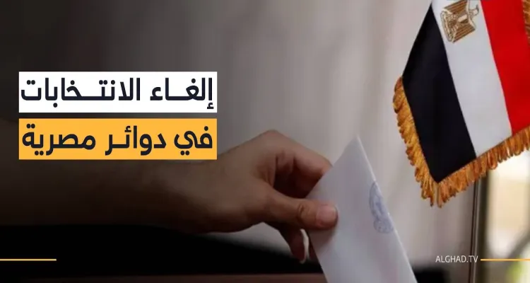 إلغاء نتيجة الدقهلية لإخلالها بإرادة الناخبين.. وتأييد 211 طعناً في الدوائر الأخرى