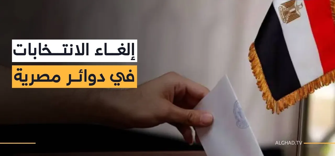 إلغاء نتيجة الدقهلية لإخلالها بإرادة الناخبين.. وتأييد 211 طعناً في الدوائر الأخرى