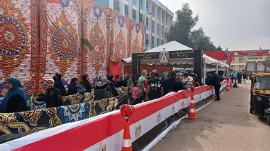 تباين مواقف الأحزاب بشأن نتائج الحصر العددى للدوائر الـ30 الملغاة