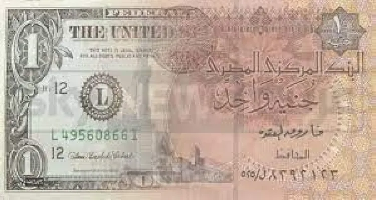 تقارير: اتفاق مبدئي بين مصر وصندوق النقد على التعويم مقابل 7 مليارات دولار