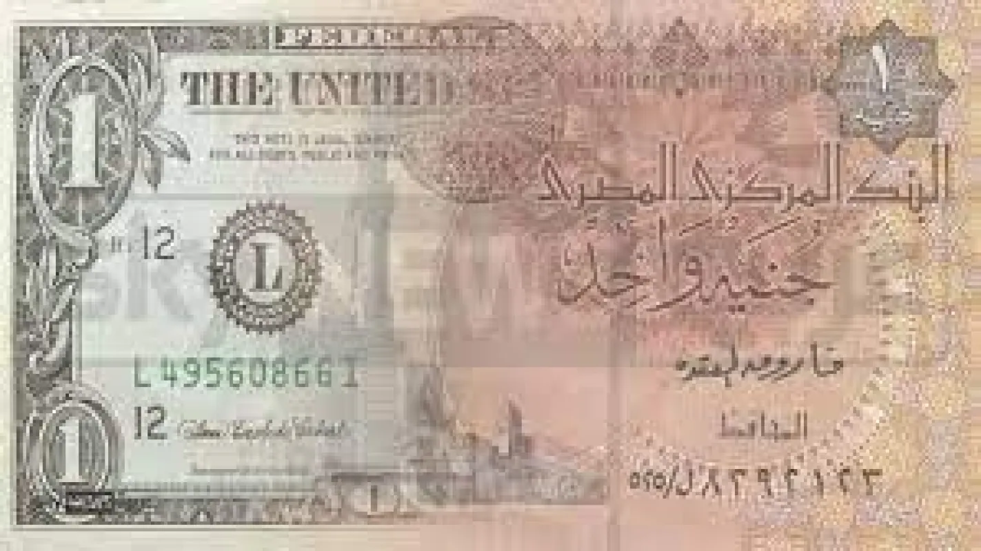تقارير: اتفاق مبدئي بين مصر وصندوق النقد على التعويم مقابل 7 مليارات دولار