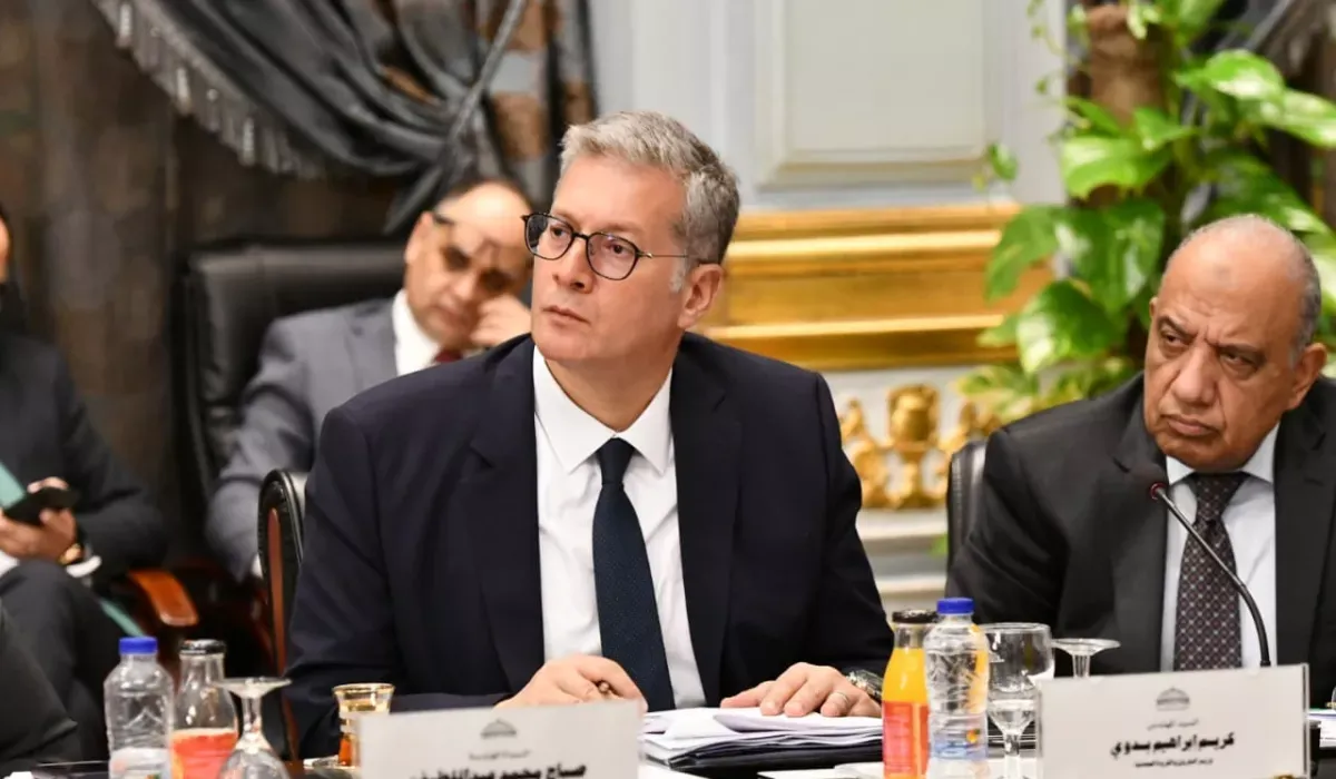 خطة لتقليص استهلاك محطات الكهرباء من الغاز بنسبة 12% لتوفير 200 مليون دولار شهرياً