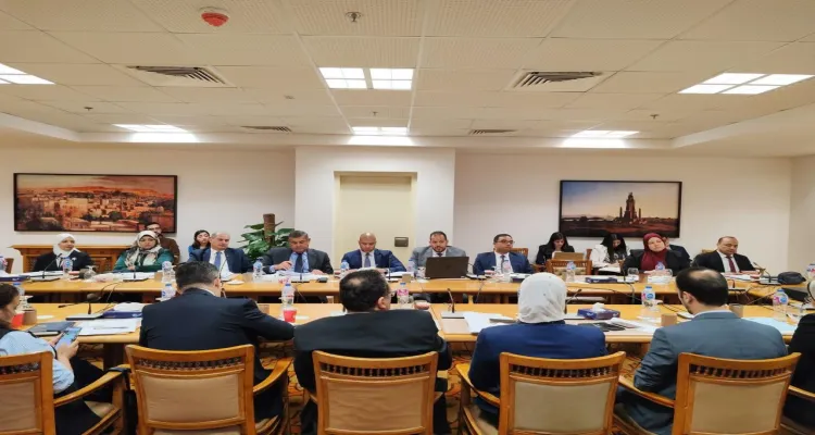 انعقاد اللجنة الدائمة لمتابعة العلاقات المصرية الإفريقية