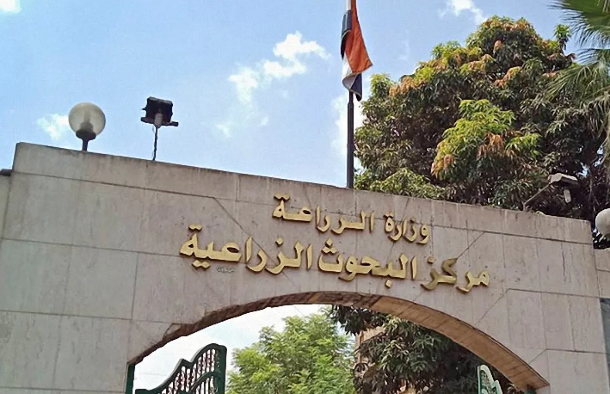 موظفو البنك الزراعي المفصولون ينظمون وقفة احتجاجية أمام  معهد البحوث الزراعية