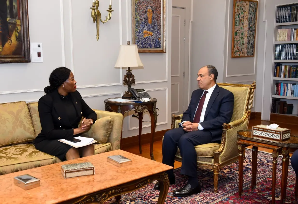 لقاء وزير الخارجية مع نائبة وزير خارجية جنوب أفريقيا