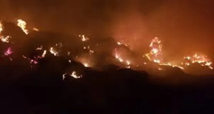 حريق هائل فى 4 آلاف بالة قش أرز فى البحيرة