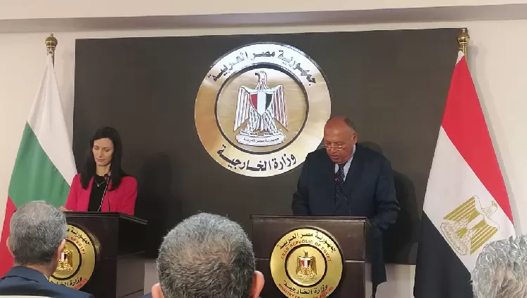 شكري: أي زيادة لرقعة العمليات العسكرية بغزة سوف يكون لها آثار وخيمة