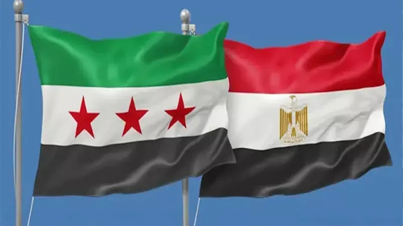 مصر تدعو إلى خفض التصعيد في سوريا وتغليب مسارات التهدئة والحوار