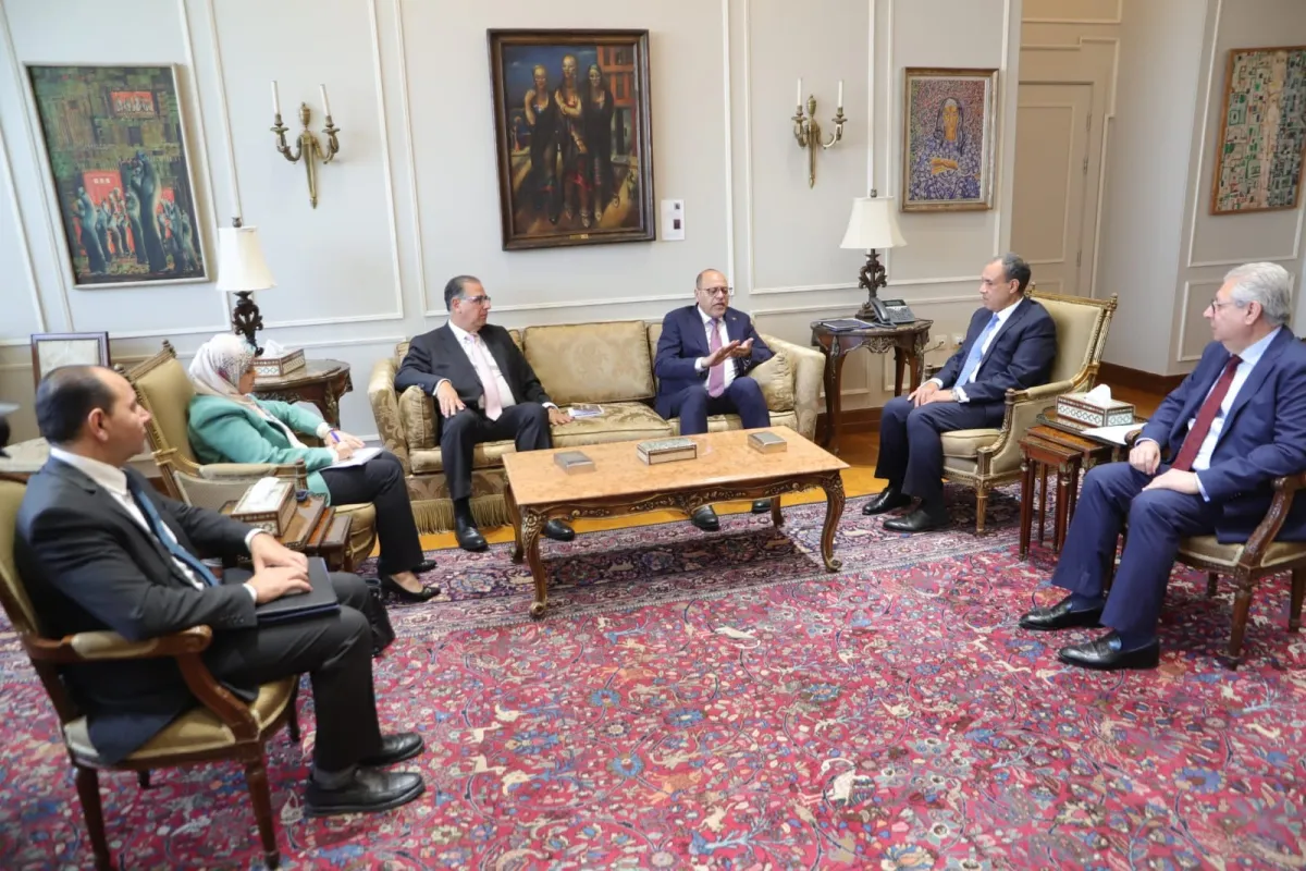 وزيرا الخارجية والعمل يناقشان الهجرة والعمالة المصرية بالخارج