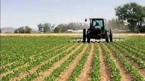 الأوقاف ترفع إيجار الفدان إلى 48 ألف جنيه.. ونقيب الزراعيين يطالب بالمراجعة