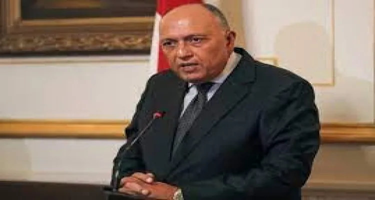 شكري يطالب نظيرته الفرنسية بالعمل خلال رئاسة بلادها مجلس الأمن ضرورة تنفيذ بنود قرار مجلس الأمن رقم 2720