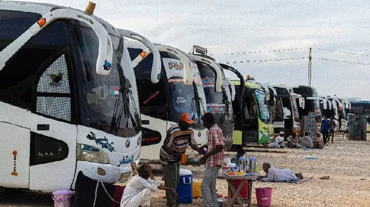 المونيتور: بسبب عدم قدرتهم على البقاء في مصر.. اللاجئون السودانيون يعودون إلى وطنهم الذي مزقه الحرب