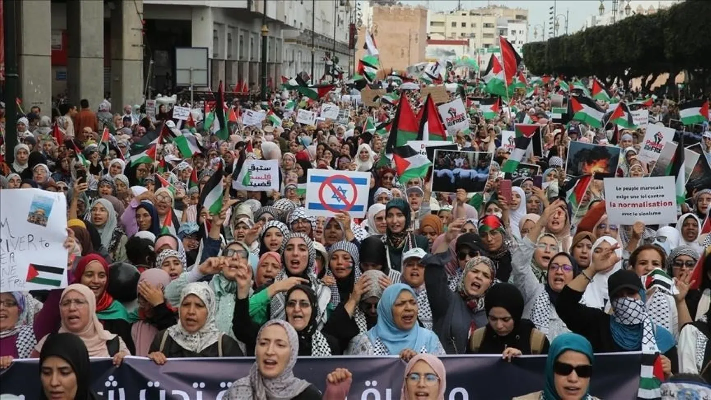 امرأة من ليفربول تصف تجربتها في مصر بأنها 