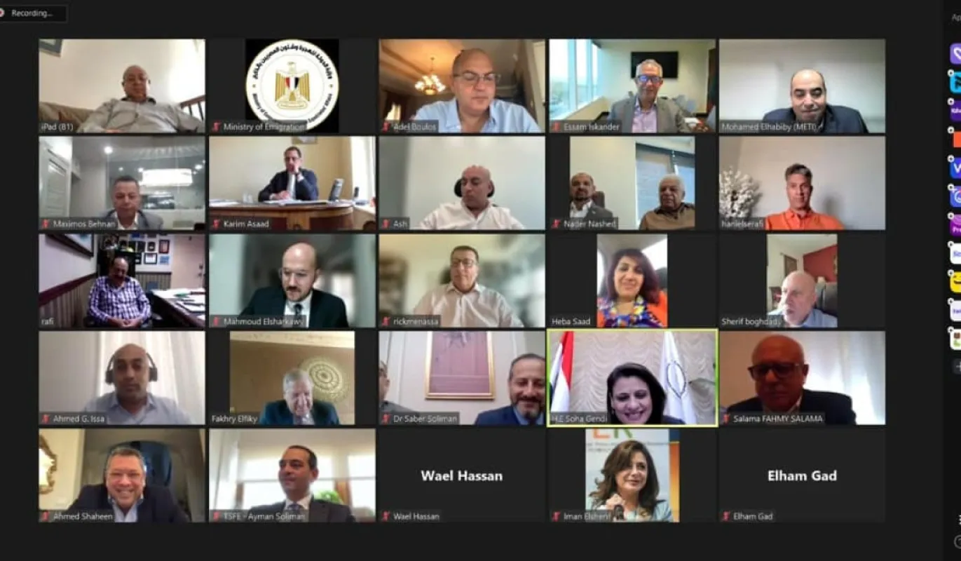 وزارة الهجرة تروج لبرنامج الطروحات الحكومية بين رجال الأعمال المصريين في الخارج