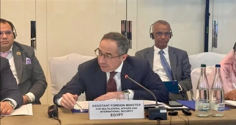 مصر تدعو لتحويل الهجرة الأفريقية إلى 